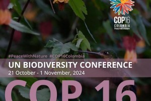 COP16 Colombua