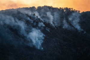 Forest fire matt palmer AuEVJLpb96k unsplash