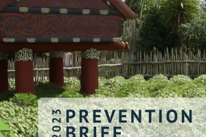 HCA Prevention Brief 2023