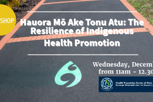 Indigenous HP resilience webishop website banner