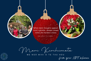 Meri Kirihimete 3 2025