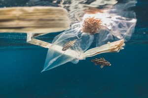 Ocean pollution naja bertolt jensen IUBc0cxN7Lc unsplash