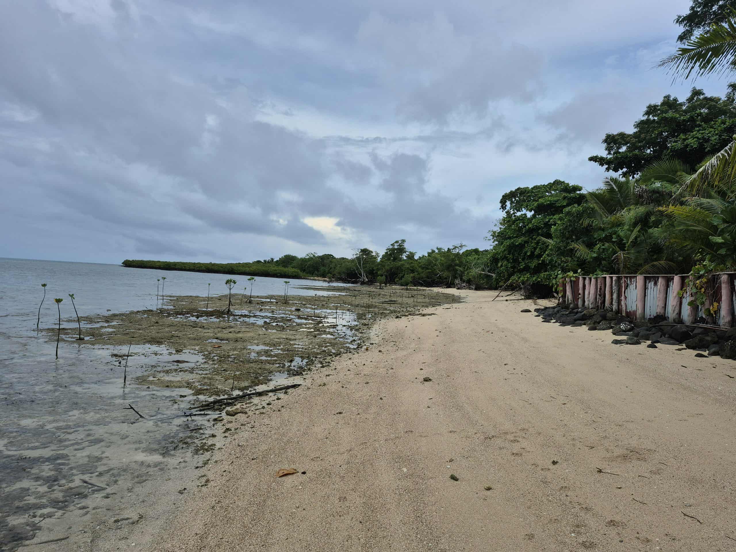 WHO unveils ambitious blueprint for action on climate and health image