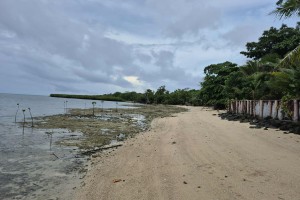Suzies island 3
