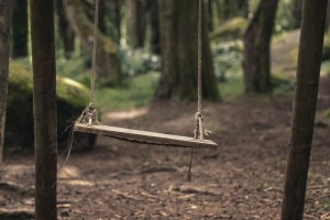 Swing manuel inglez FJqzYi1S6Mg unsplash 1