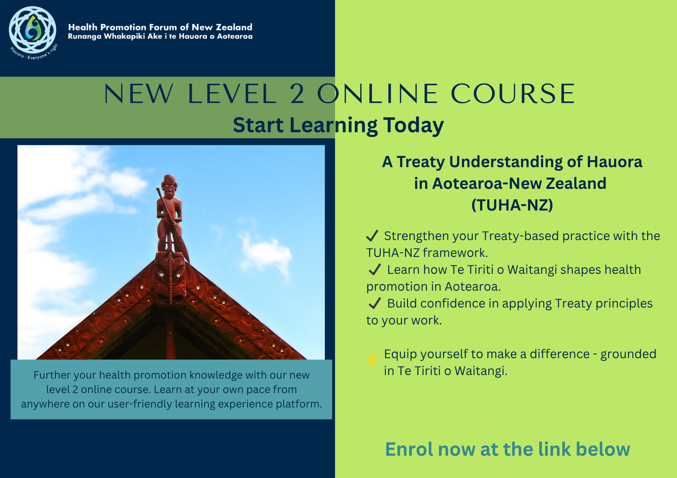 New online course explores how Te Tiriti underpins equitable health outcomes image