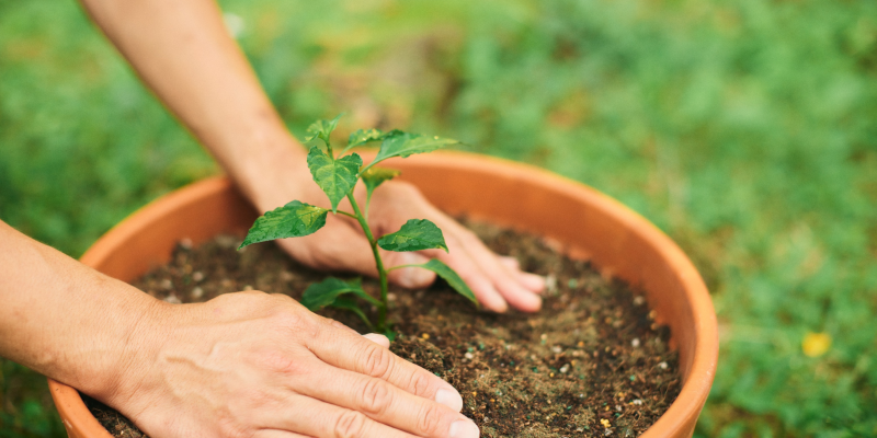 Banner image: Website images (7)