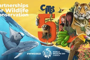 World Wildlife Day 2023 poster
