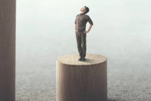 determinants of health webishop website v3